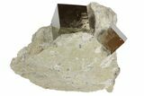 Natural Pyrite Cubes In Rock From Spain #82096-1